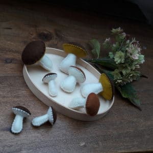 kit de la cueillette des champignons, proposé par Pique & Colegram