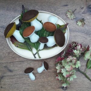 le kit feutrine de la cueillette des champignons, des champignons en feutrine de laine à confectionner soi-même