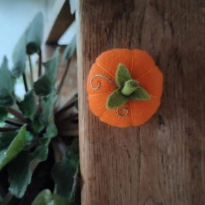 le kit DIY des petites citrouilles de Pique & Colegram, un kit couture débutant.